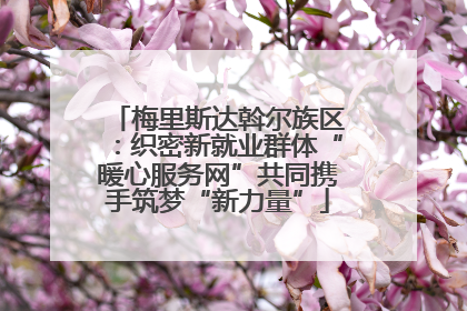梅里斯达斡尔族区：织密新就业群体“暖心服务网”共同携手筑梦“新力量”