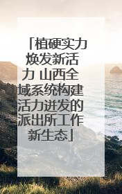 植硬实力 焕发新活力 山西全域系统构建活力迸发的派出所工作新生态