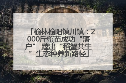 榆林榆阳镇川镇：2000斤蟹苗成功“落户” 蹚出“稻蟹共生”生态种养新路径