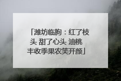 潍坊临朐：红了枝头 甜了心头 油桃丰收季果农笑开颜