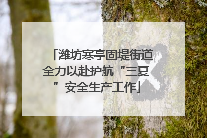 潍坊寒亭固堤街道全力以赴护航“三夏”安全生产工作