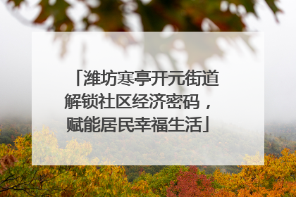 潍坊寒亭开元街道解锁社区经济密码，赋能居民幸福生活