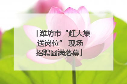 潍坊市“赶大集 送岗位” 现场招聘圆满落幕