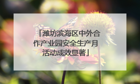 潍坊滨海区中外合作产业园安全生产月活动成效显著