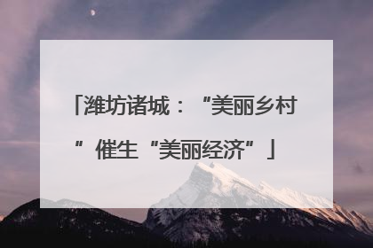 潍坊诸城：“美丽乡村”催生“美丽经济”