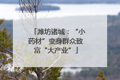 潍坊诸城：“小药材”变身群众致富“大产业”