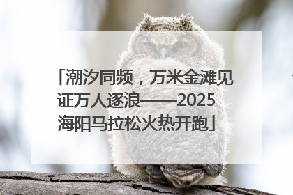 潮汐同频，万米金滩见证万人逐浪——2025海阳马拉松火热开跑