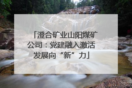 澄合矿业山阳煤矿公司：党建融入激活发展向“新”力