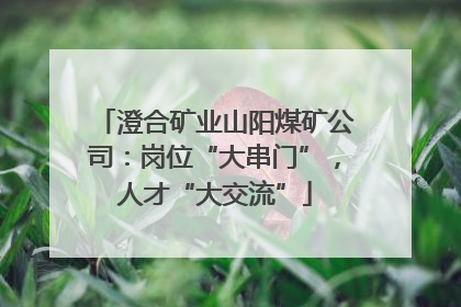 澄合矿业山阳煤矿公司：岗位“大串门”，人才“大交流”