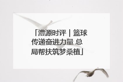 澧源时评｜篮球传递奋进力量 总局帮扶筑梦桑植