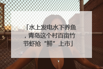 水上发电水下养鱼，青岛这个村百亩竹节虾抢“鲜”上市