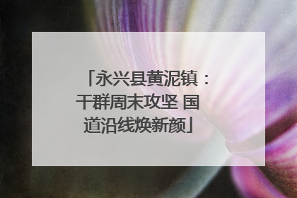 永兴县黄泥镇：干群周末攻坚 国道沿线焕新颜