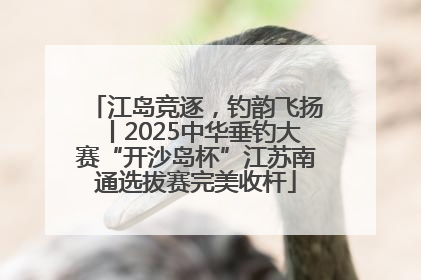 江岛竞逐，钓韵飞扬丨2025中华垂钓大赛“开沙岛杯”江苏南通选拔赛完美收杆