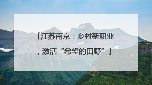 江苏南京：乡村新职业，激活“希望的田野”