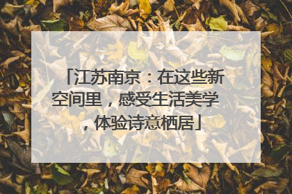 江苏南京：在这些新空间里，感受生活美学，体验诗意栖居
