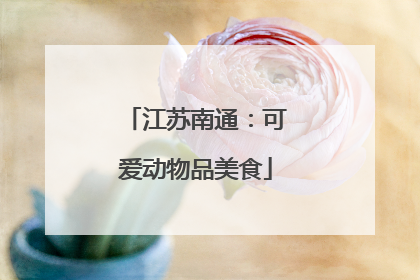 江苏南通：可爱动物品美食