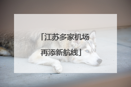 江苏多家机场再添新航线