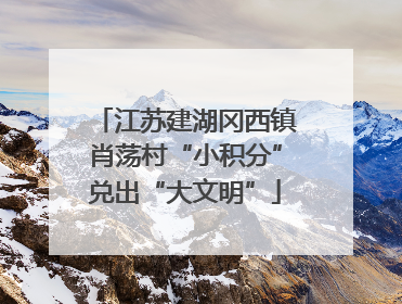 江苏建湖冈西镇肖荡村“小积分”兑出“大文明”