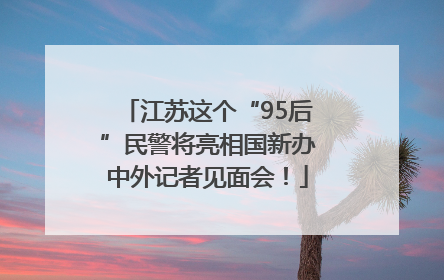 江苏这个“95后”民警将亮相国新办中外记者见面会！
