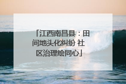 江西南昌县：田间地头化纠纷 社区治理绘同心