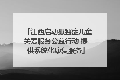 江西启动孤独症儿童关爱服务公益行动 提供系统化康复服务
