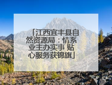 江西宜丰县自然资源局：情系业主办实事 贴心服务获锦旗