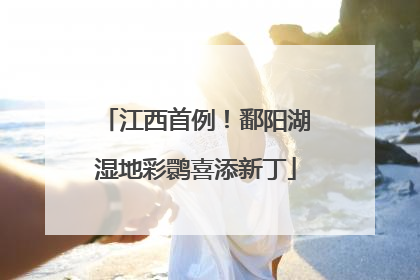 江西首例！鄱阳湖湿地彩鹮喜添新丁