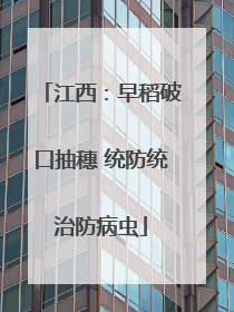江西：早稻破口抽穗 统防统治防病虫