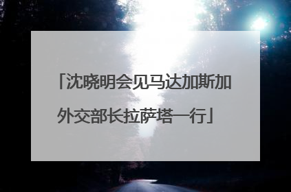 沈晓明会见马达加斯加外交部长拉萨塔一行