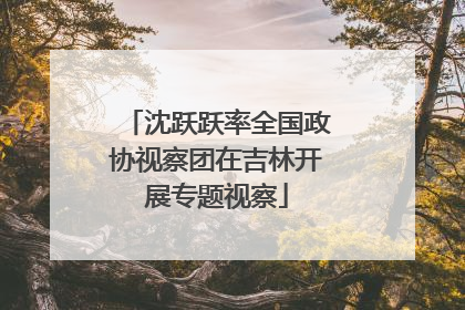 沈跃跃率全国政协视察团在吉林开展专题视察