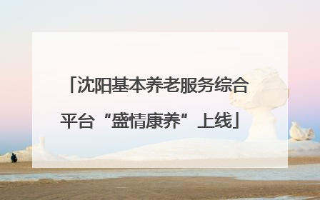 沈阳基本养老服务综合平台“盛情康养”上线