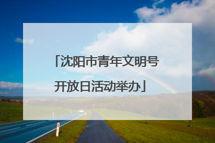 沈阳市青年文明号开放日活动举办