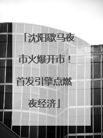 沈阳歇马夜市火爆开市！首发引擎点燃夜经济
