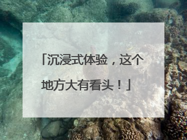 沉浸式体验，这个地方大有看头！