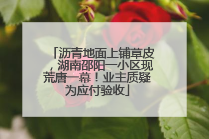 沥青地面上铺草皮，湖南邵阳一小区现荒唐一幕！业主质疑为应付验收