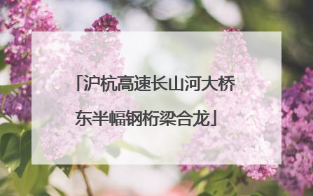 沪杭高速长山河大桥东半幅钢桁梁合龙