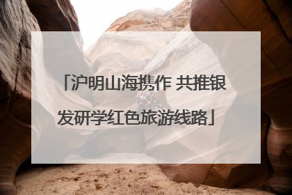 沪明山海携作 共推银发研学红色旅游线路
