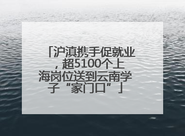 沪滇携手促就业，超5100个上海岗位送到云南学子“家门口”