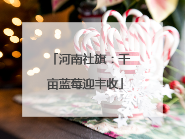 河南社旗:千亩蓝莓迎丰收