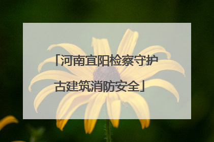 河南宜阳检察守护古建筑消防安全