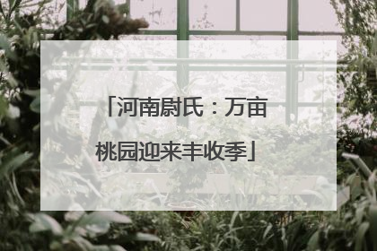 河南尉氏：万亩桃园迎来丰收季