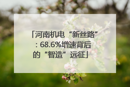 河南机电“新丝路”：68.6%增速背后的“智造”远征