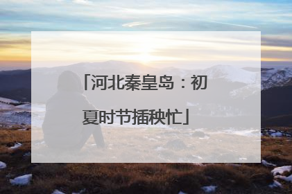河北秦皇岛：初夏时节插秧忙