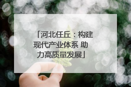 河北任丘：构建现代产业体系 助力高质量发展