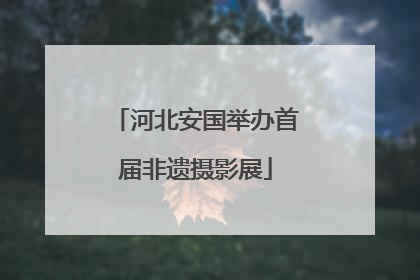河北安国举办首届非遗摄影展
