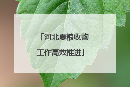 河北夏粮收购工作高效推进