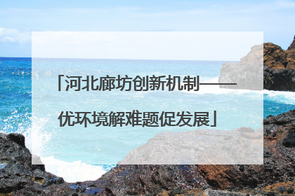 河北廊坊创新机制——优环境解难题促发展