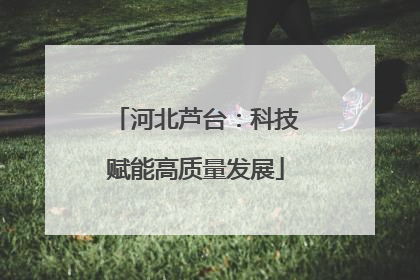 河北芦台：科技赋能高质量发展