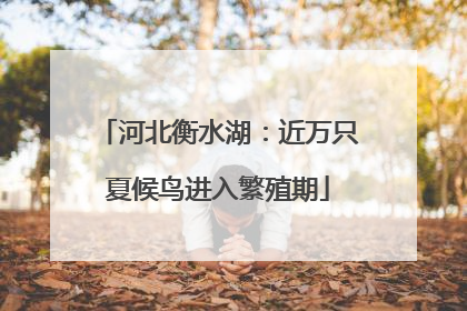 河北衡水湖：近万只夏候鸟进入繁殖期