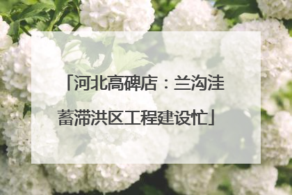 河北高碑店：兰沟洼蓄滞洪区工程建设忙